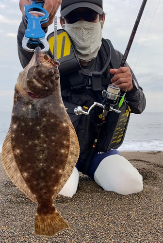 ソゲの釣果