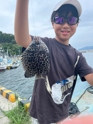 イシガキダイの釣果