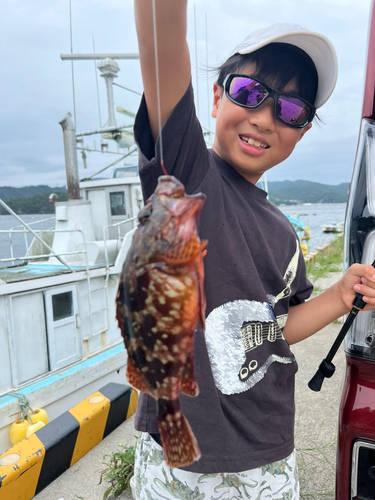 カサゴの釣果