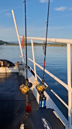 タチウオの釣果