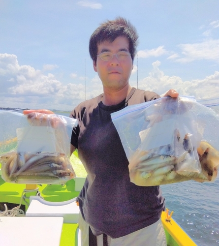 シロギスの釣果