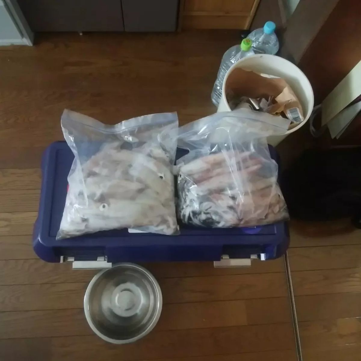 oceaninpact_yukawaさんの釣果 1枚目の画像