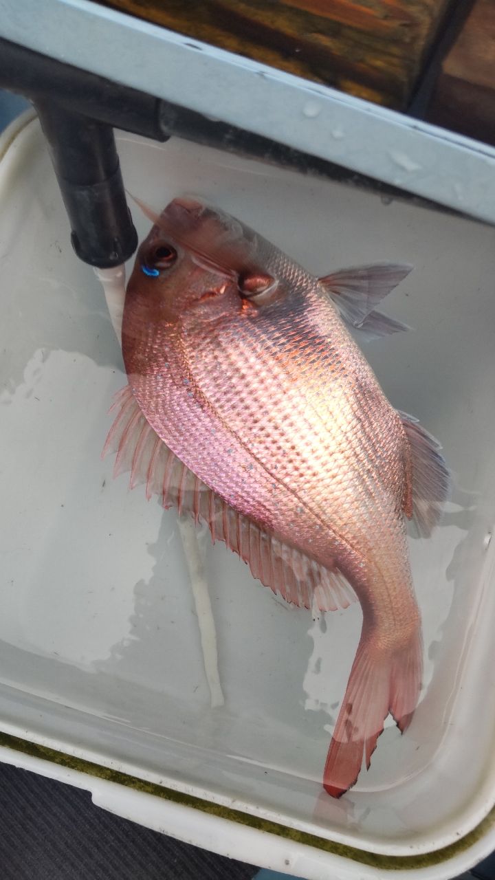 takahi-turiさんの釣果 1枚目の画像