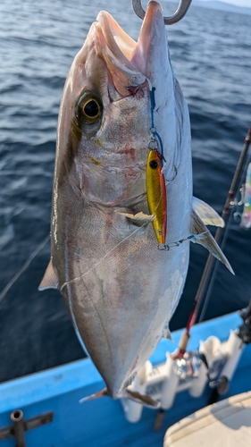 ネリゴの釣果