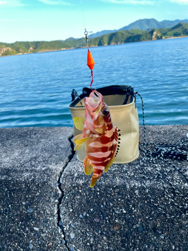 くじら浜公園周辺