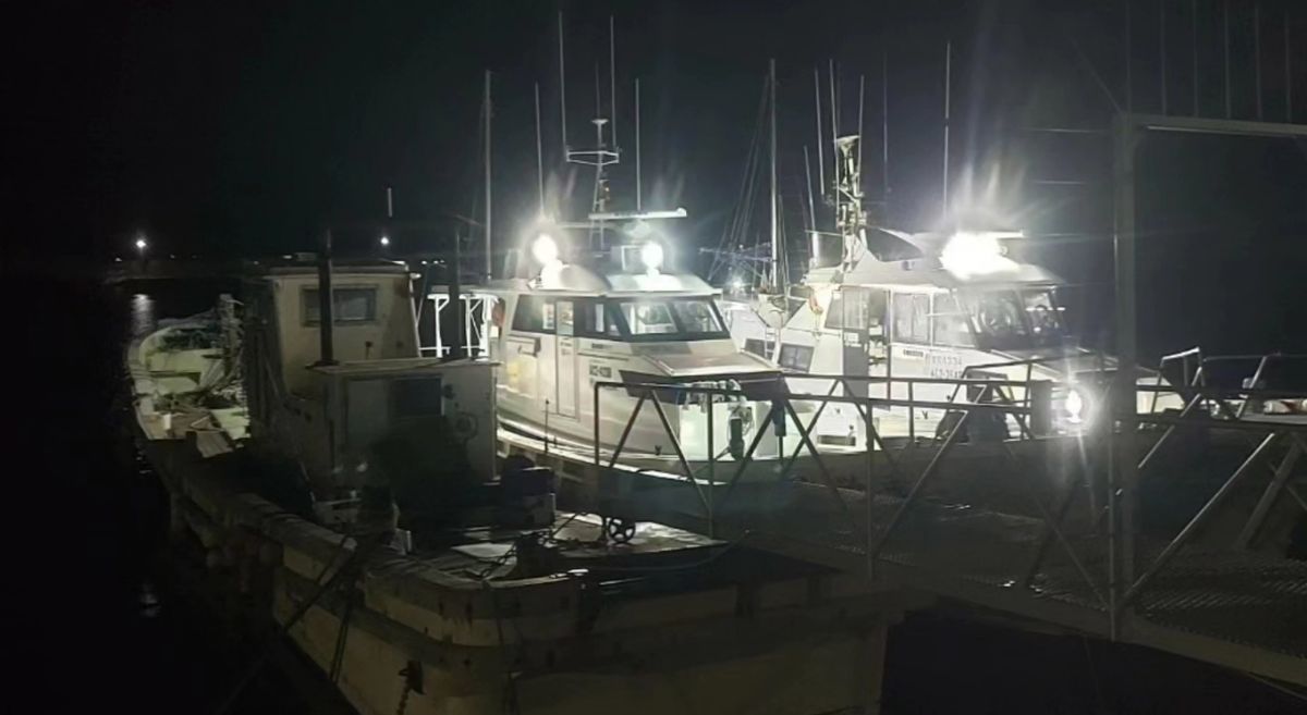 Jackyさんの釣果 3枚目の画像