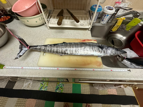 オキサワラの釣果