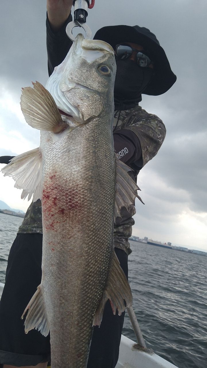 松村健治 遊漁船Ocean's船長さんの釣果 2枚目の画像