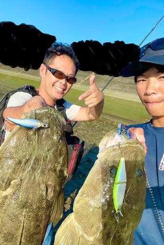 マゴチの釣果