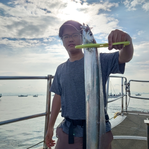 タチウオの釣果