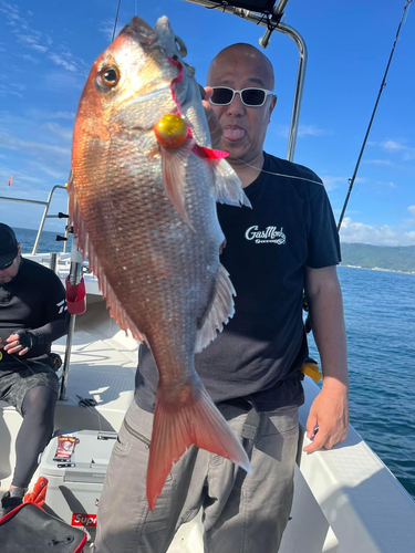 タイの釣果