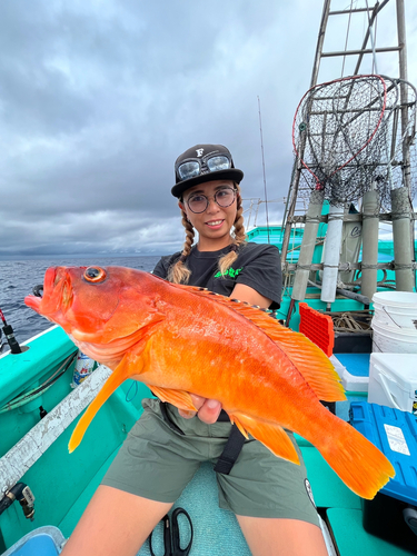 アカハタの釣果