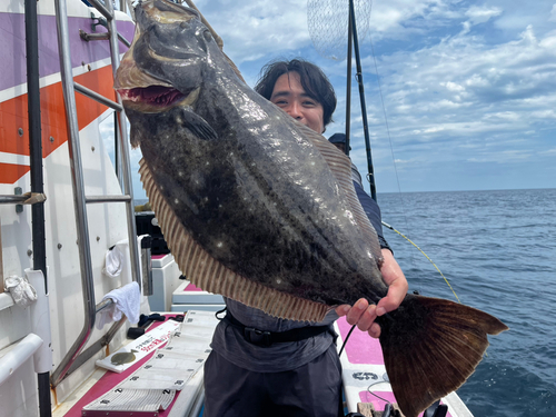 ヒラメの釣果