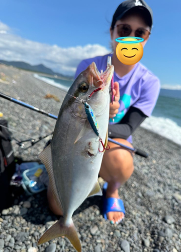 ショゴの釣果