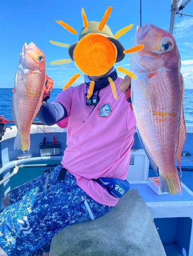 アカアマダイの釣果