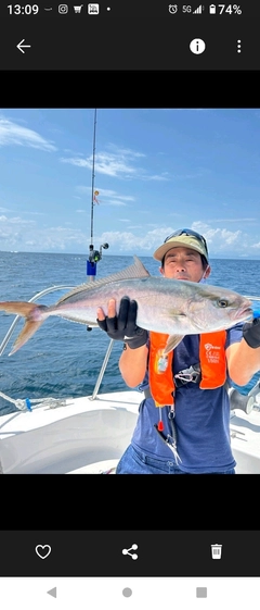 カンパチの釣果