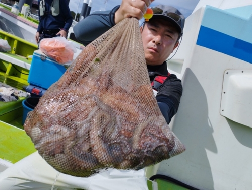 マダコの釣果