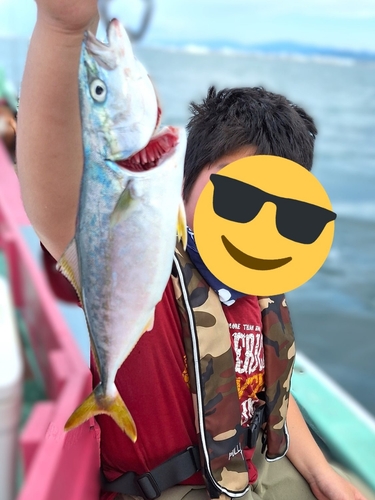 ツバスの釣果