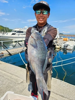 クチブトグレの釣果