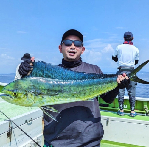 シイラの釣果