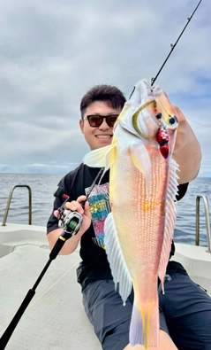 アマダイの釣果