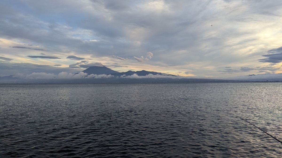 ソエソエさんの釣果 3枚目の画像
