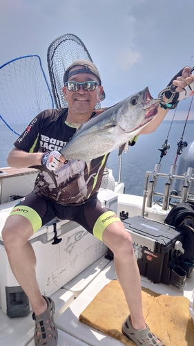 コシナガマグロの釣果