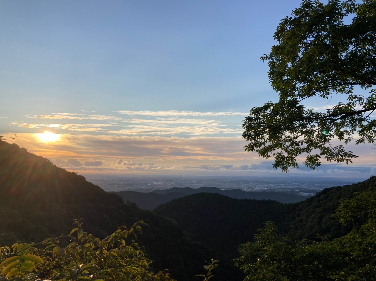 イワナ