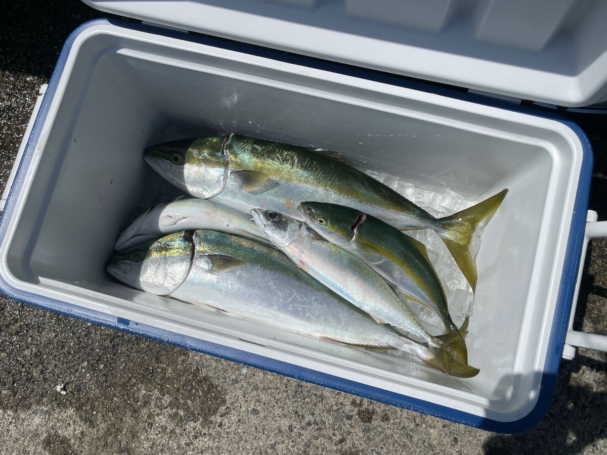 ケンタマンさんの釣果 2枚目の画像