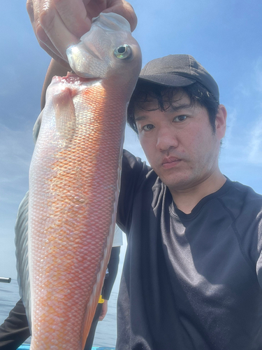 シロアマダイの釣果