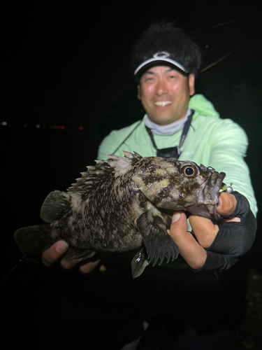 オウゴンムラソイの釣果