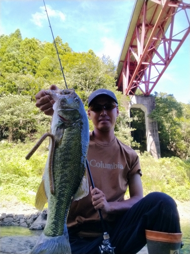 ブラックバスの釣果