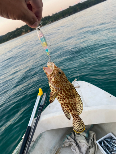 クチナジの釣果