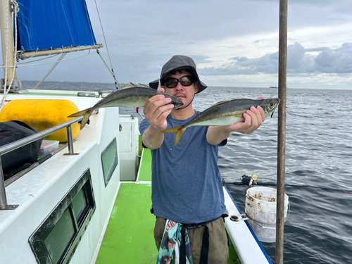 マアジの釣果