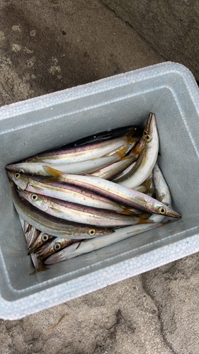 釣果