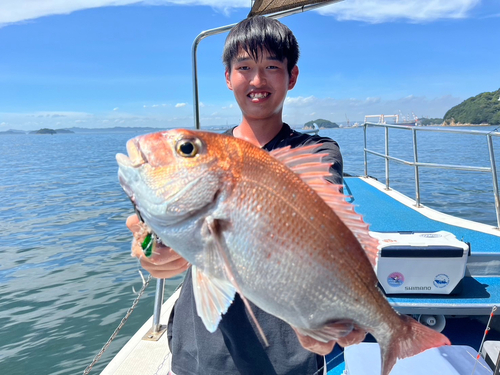 マダイの釣果