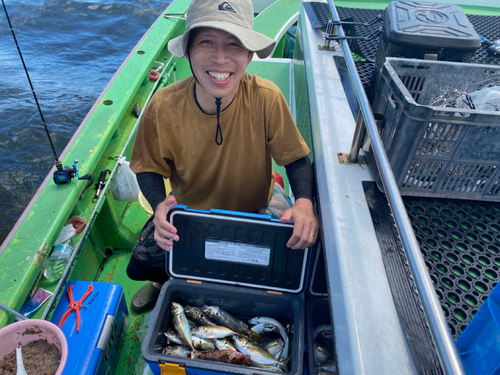 アジの釣果