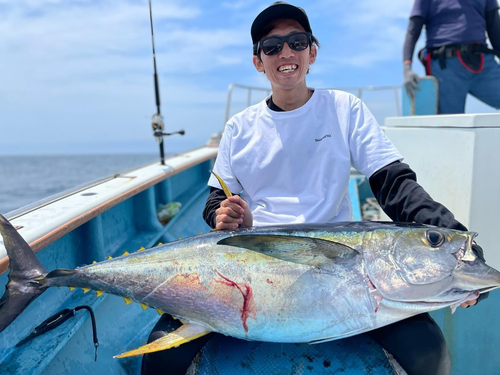 キハダマグロの釣果