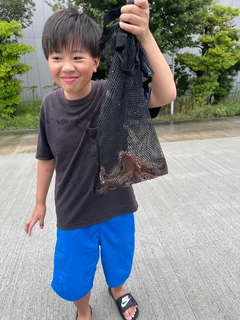 タコの釣果