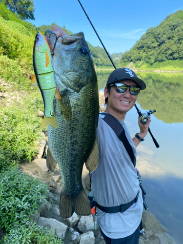 ブラックバスの釣果