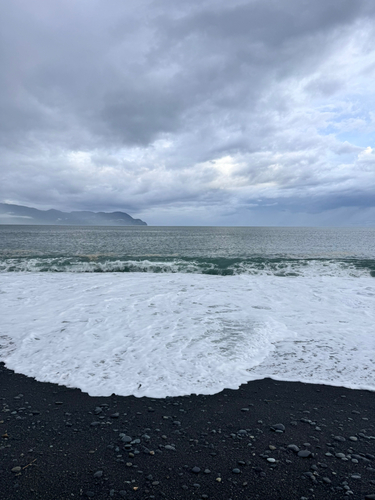 チャリコの釣果