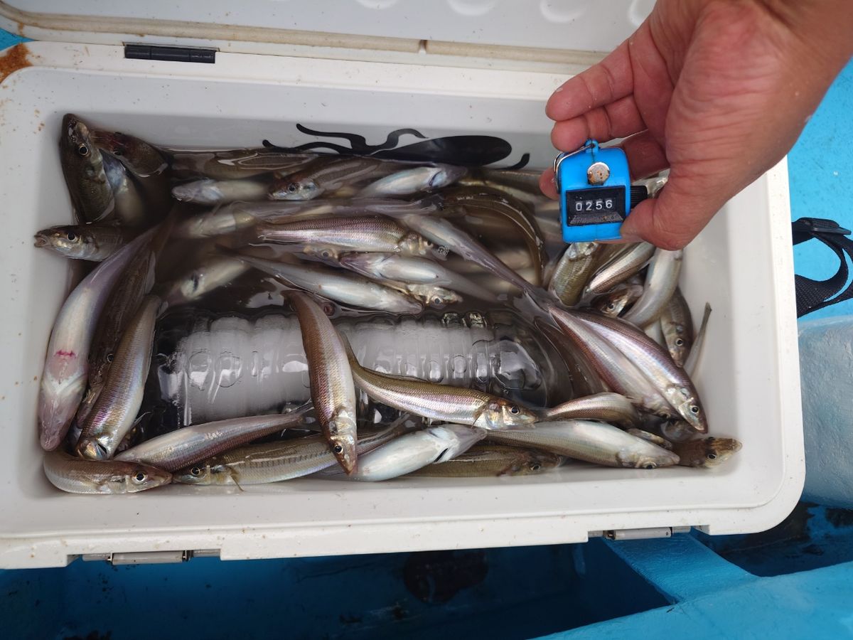 変態様さんの釣果 2枚目の画像