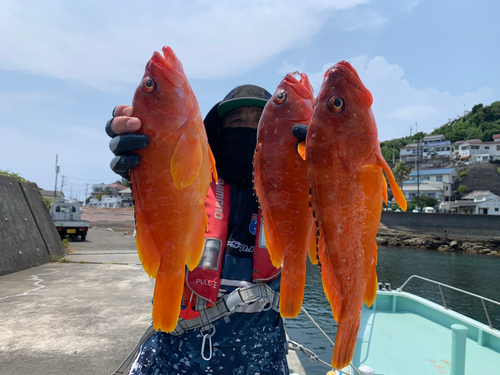 アカハタの釣果