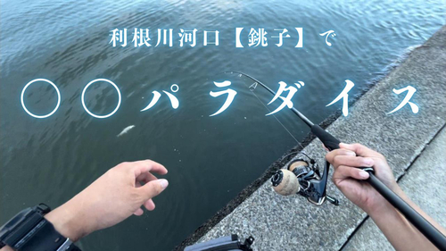 釣果