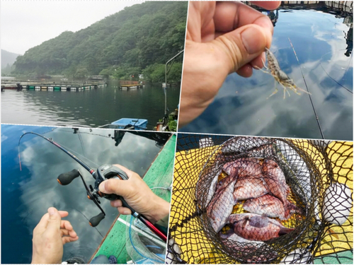 タイの釣果