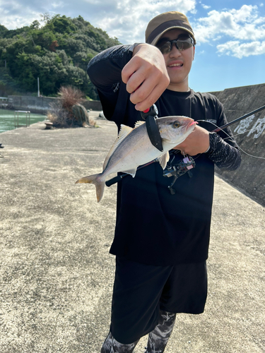 シオの釣果