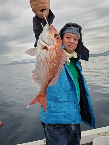 マダイの釣果