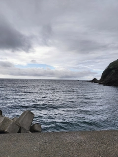 ツバスの釣果