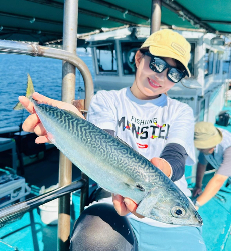 サバの釣果