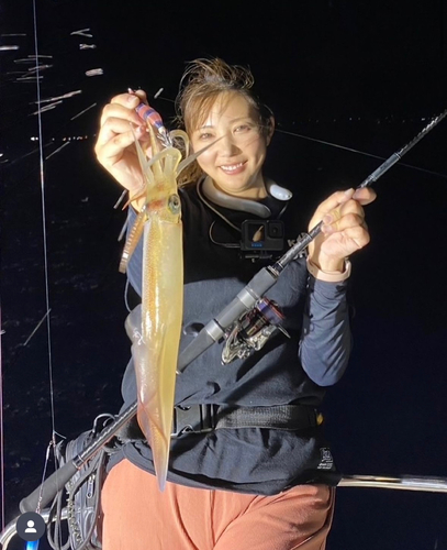 ケンサキイカの釣果